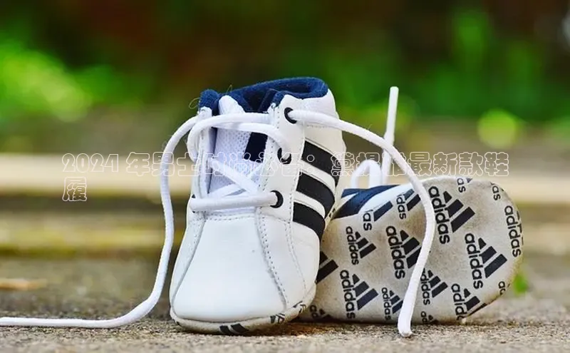 B—sports旧版下载慧博云通2024 年男士时尚必备：黛提雅最新款鞋
履