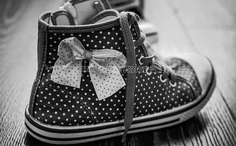 Bsport体育APP下载全站江铃新能源**新标题：ITZY 运动鞋界的风云变幻者，WM
 倾情演绎**