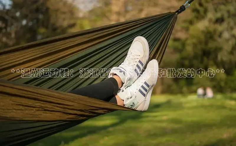 B—sports旧版下载慧博云通**温州运动鞋：浙江省运动鞋生产和批发的中心**