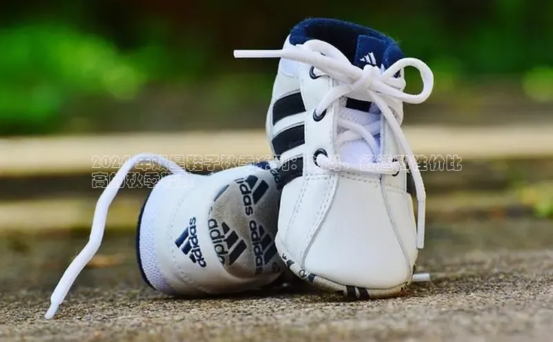 Bsport·B体育美团2024 年双星鞋子秋季系列：时尚、舒适和性价比
高的秋季鞋款