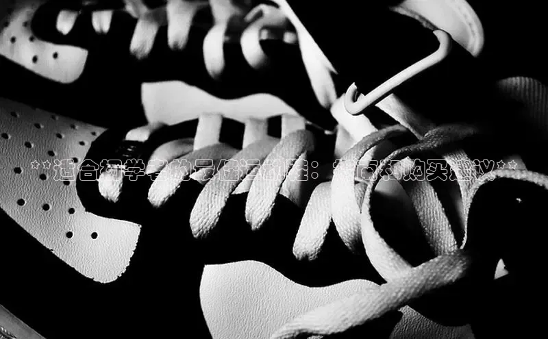 bsports网页版登录官方入口雷柏科技**适合初学者的最佳运动鞋：指南和购买建议**