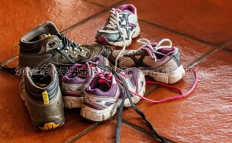 B体育必一官网网易2024 年秋季男士鞋子潮流：李宁新款释放魅力