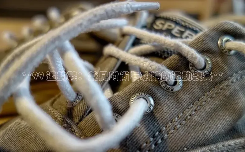 Bsport体育-官方网站阿里尔公司**99 运动鞋：兼具时尚与功能的运动装备**