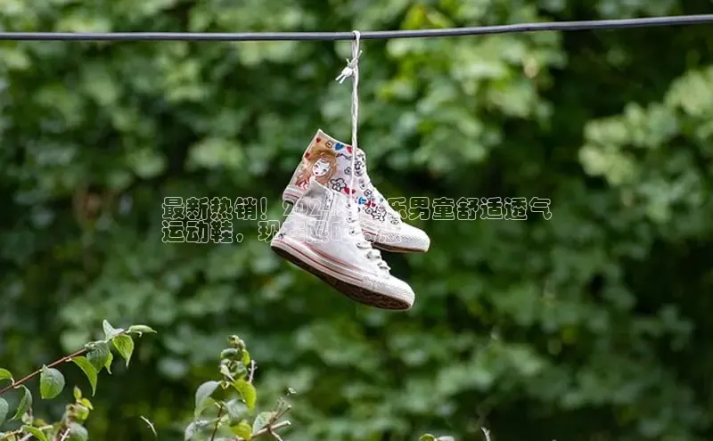 bsports必一体育网页版登录ARGA公司最新热销！2024年斐乐男童舒适透气
运动鞋，现在限时特惠