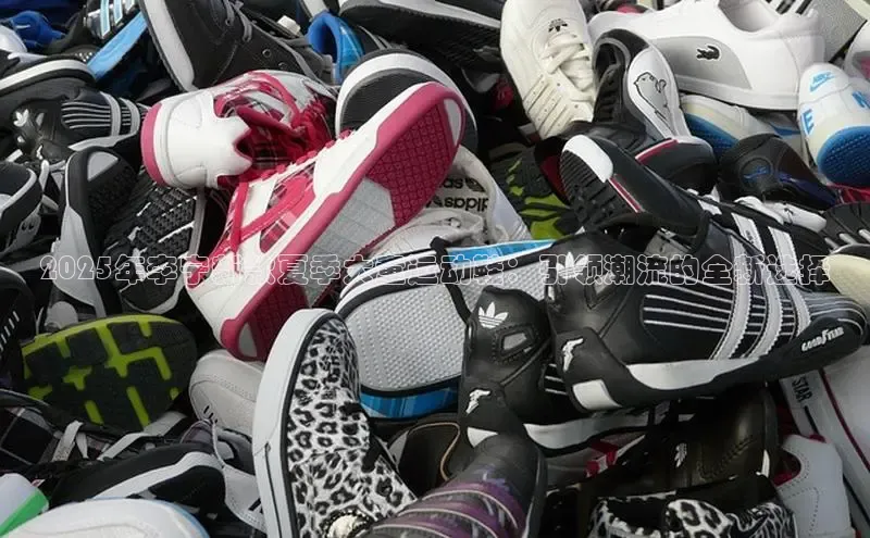 2025年李宁新款夏季大童运动鞋：引领潮流的全新选择