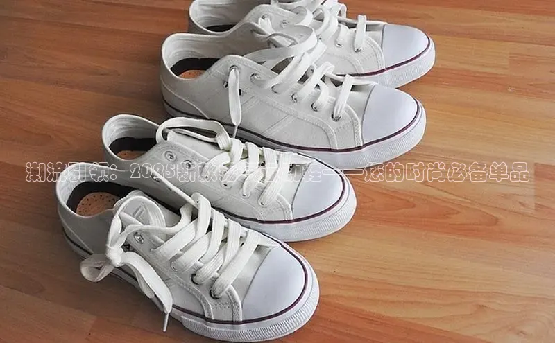 潮流引领：2025新款秀气运动鞋——您的时尚必备单品