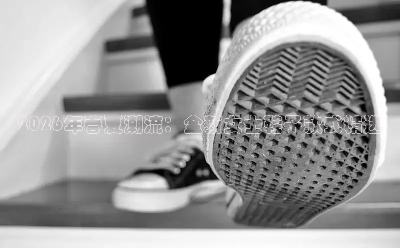 bsports网页版登录官方入口